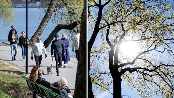 2020 год стал самым тёплым годом в истории Швеции