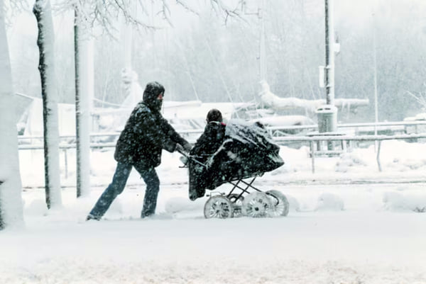 Шведов призвали готовиться к необычно холодной зиме