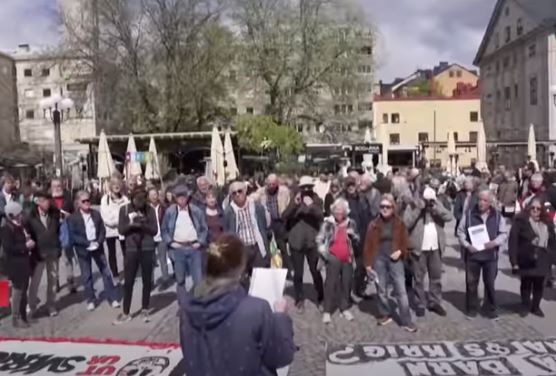 В Швеции протестуют против вступления в НАТО