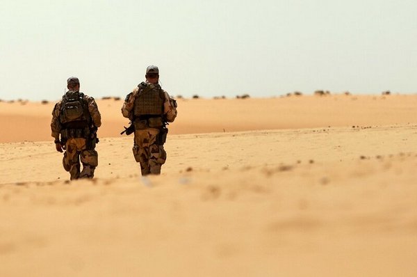 Власти Швеции преждевременно отзывают своих военных из Мали