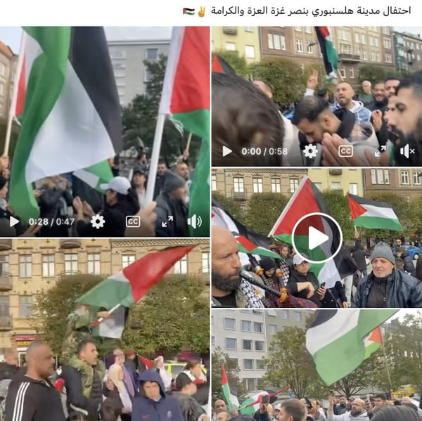 В Швеции прошли акции в поддержку нападения Хамас на Израиль