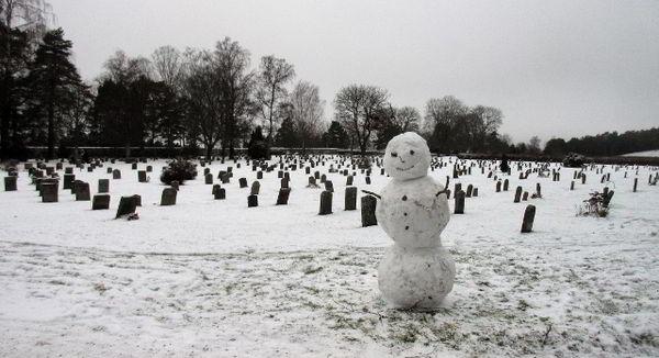 Власти Стокгольма запретили кататься на санках на городском кладбище