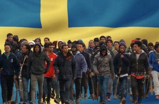 Почти все мигранты, проживающие в Швеции, отдых проводят на родине