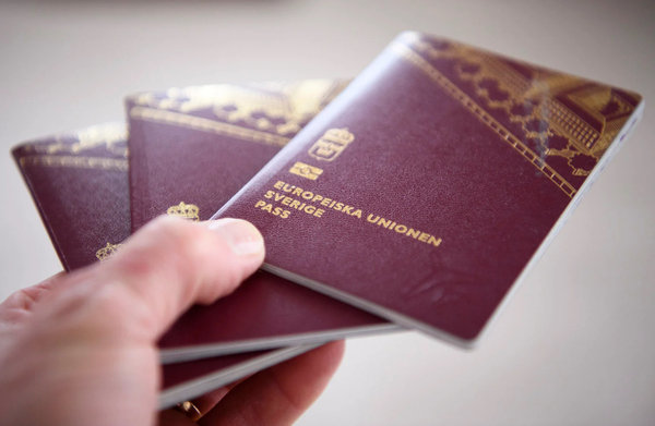 Сколько человек получили шведское гражданство в 2022 году и откуда они?