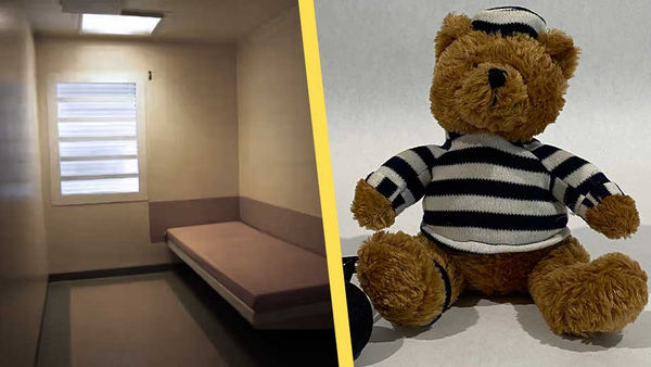 В Швеции появятся детские тюремные камеры