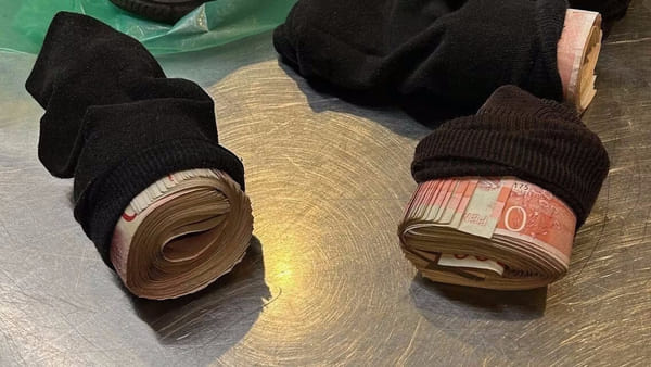 Шведские таможенники конфисковали рекордные суммы преступных денег
