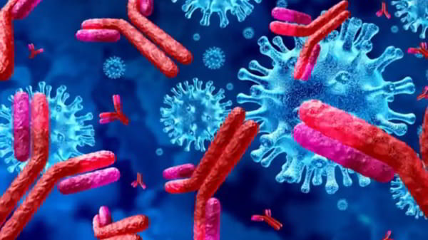 Шведские учёные: 80 процентов переболевших даже через год имеют антитела к коронавирусу