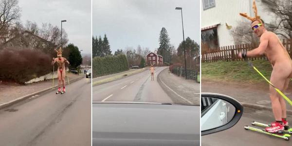 В Швеции попал на видео удивительный олень