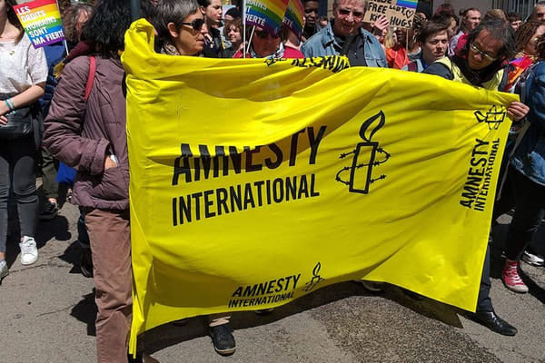Из-за шведской критики украинских военных преступлений Amnesty International стали покидать члены