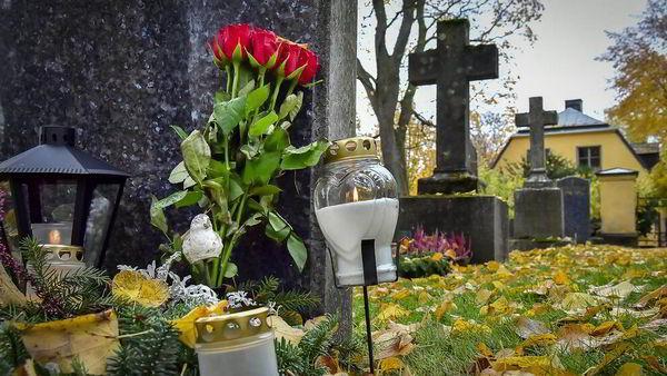 Коронавирус вышел на третье место среди основных причин смертности в Швеции
