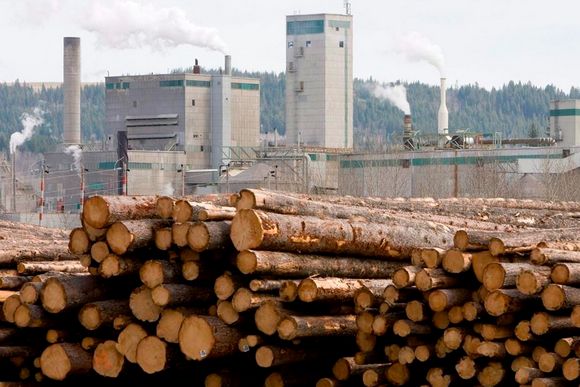 Изделия из древесины для Швеции скоро станут дефицитом