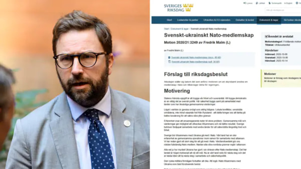 Шведский парламентарий стал пешкой в ​​игре между Россией, Украиной и НАТО