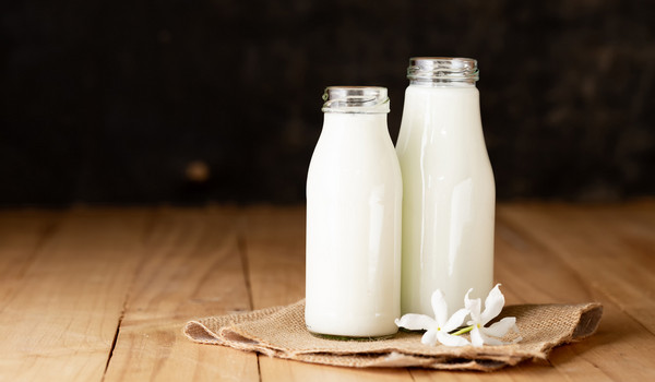 В Швеции запустили производство молока из картофеля