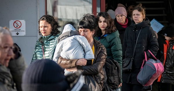 В Швеции более половины украинских беженцев нашли работу