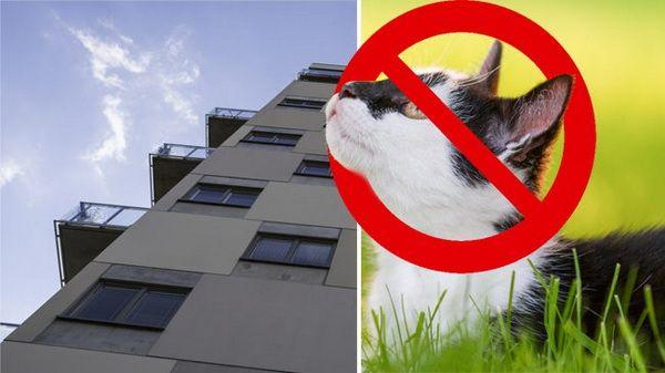В Стокгольме стали запрещать домашних животных