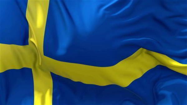 Швеция начала приём беженцев с низким уровнем интеллекта