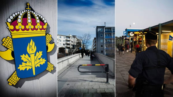 В Швеции испугались шведов, вернувшихся домой из Сирии