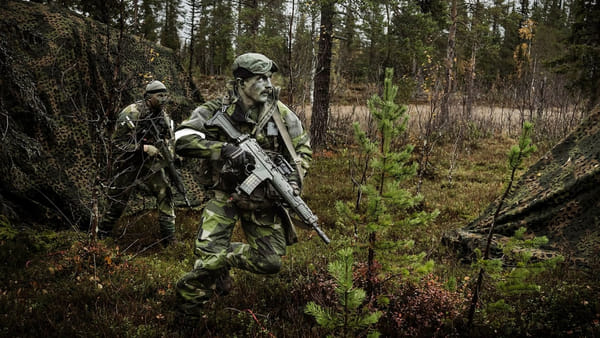 Шведская военная элита жалуется на нехватку обмундирования