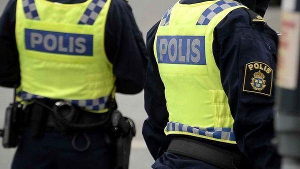 Шведская полиция пересчитала проституток