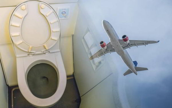 Туалетная проблема снизила надёжность Скандинавских авиалиний