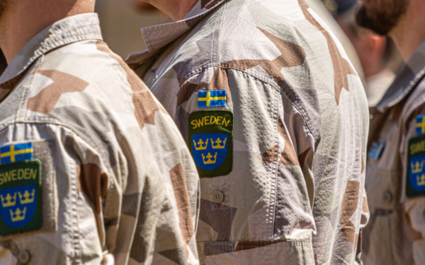 В сети появились данные шведских наёмников, воюющих за ВСУ