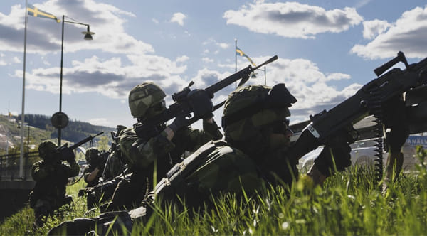 Власти Швеции обеспокоены, что мигранты не хотят воевать за страну