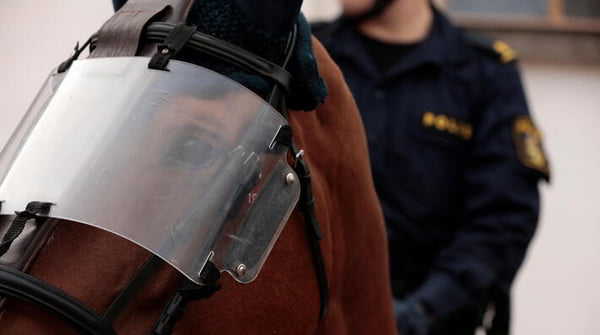 Шведские полицейские жалуются на дефицит лошадей