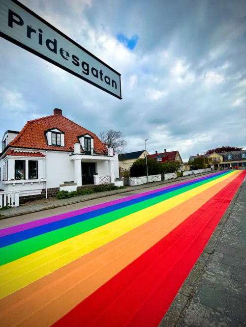 В шведском городе раскрасили дорогу для пропаганды ЛГБТ