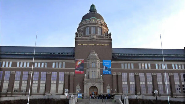 Национальный музей естественной истории в Стокгольме закрыли из-за возможного обрушения