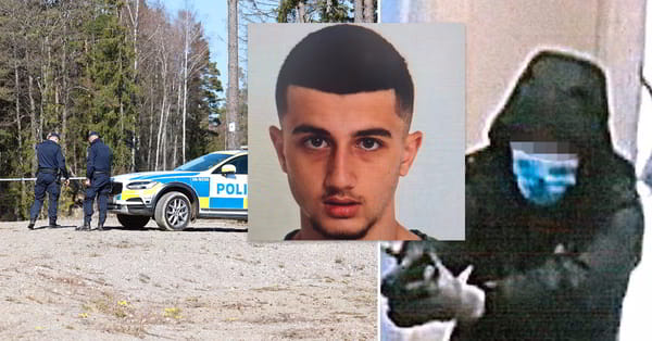 В Швеции в очередной раз задержали молодого армянина, убившего шведа