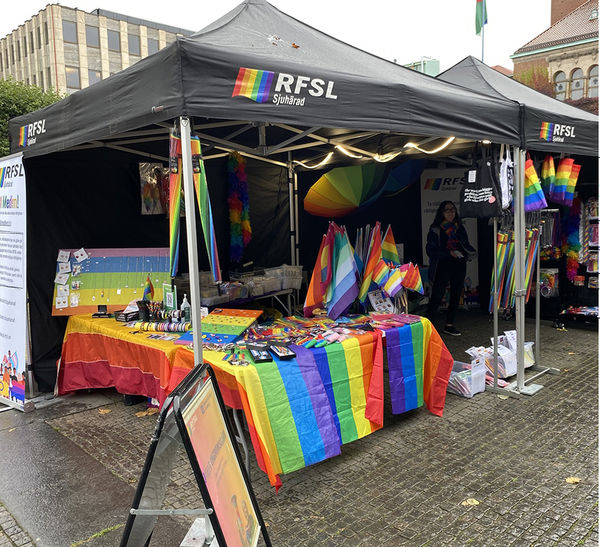 Шведские дети выступили против гей-пропаганды