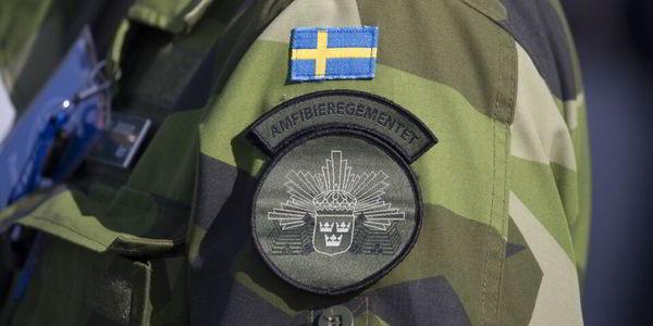 Швед пойдёт под суд за общение в закрытом интернет-форуме