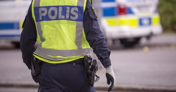 В доме премьер-министра Швеции задержали нелегалку