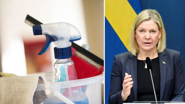 Уборщицу премьер-министра Швеции обвинили в связях с Россией