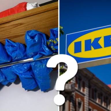 В Швеции объяснили синий цвет сумки IKEA