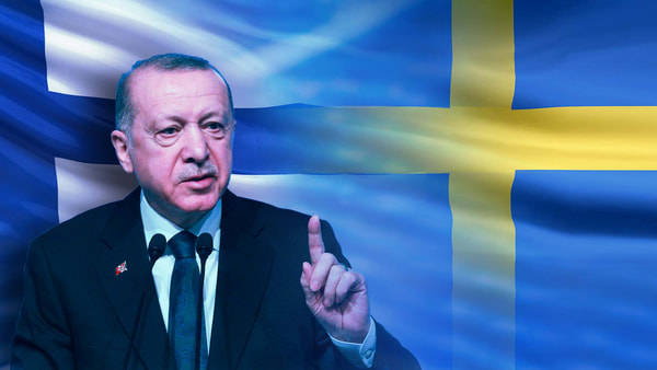 В Турции заявили, что Швеция пока недостойна быть членом НАТО