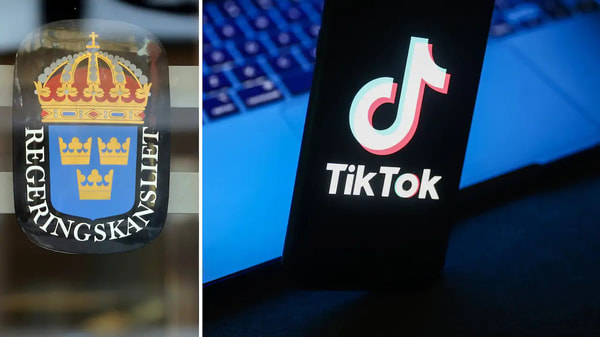 Правительство Швеции потребовало удалить TikTok
