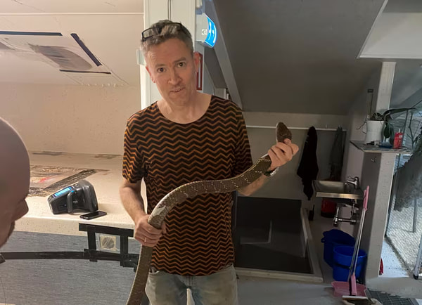 Шведским спецслужбам удалось поймать сбежавшую из зоопарка королевскую кобру