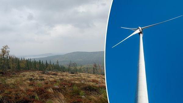 Шведы проголосовали против ветроэнергетики